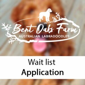 Wait list Application