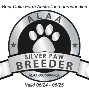 Bent Oaks ALAA Silver Paw 2024