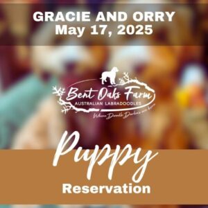 GRACIE AND ORRY  May 17, 2025