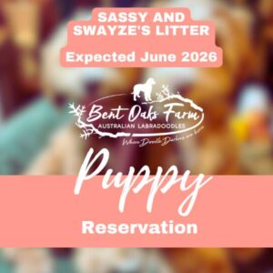 SASSY AND SWAYZE'S LITTER Expected June 2026
